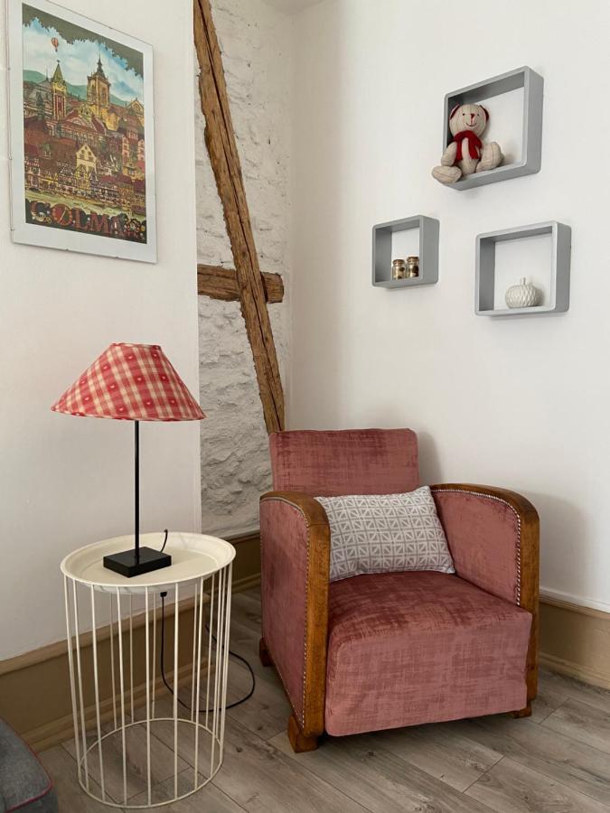L'Ours De Colmar - Appartements En Centre Ville מראה חיצוני תמונה