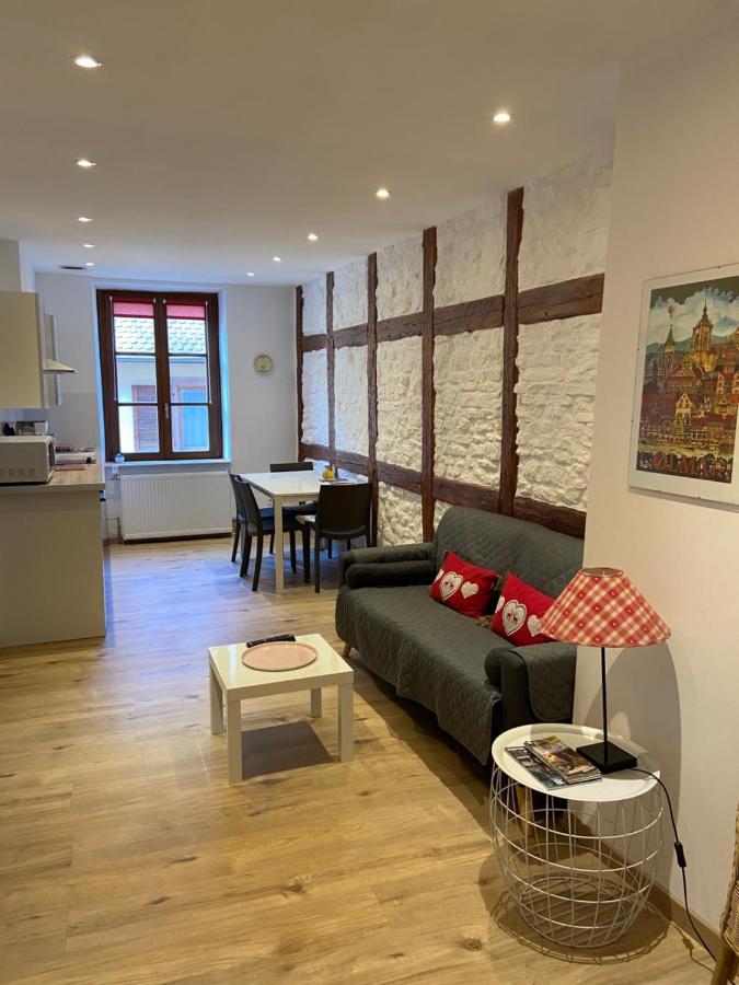 L'Ours De Colmar - Appartements En Centre Ville מראה חיצוני תמונה