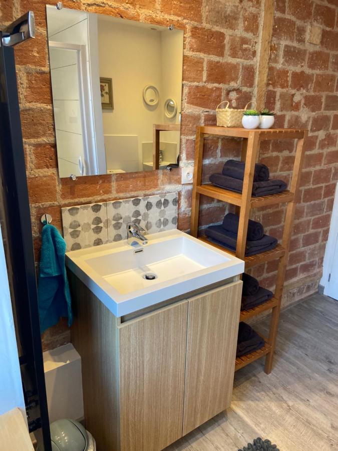 L'Ours De Colmar - Appartements En Centre Ville מראה חיצוני תמונה