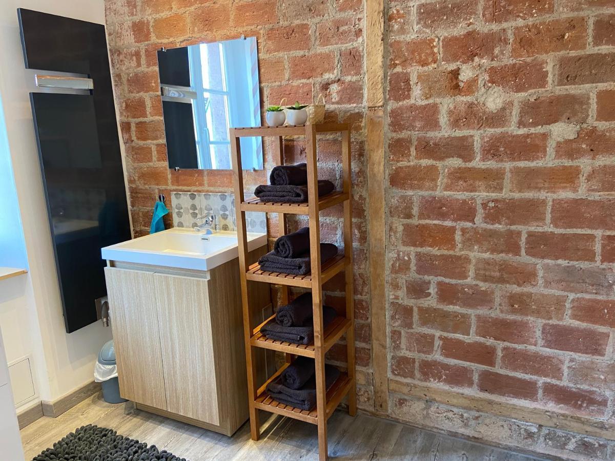 L'Ours De Colmar - Appartements En Centre Ville מראה חיצוני תמונה