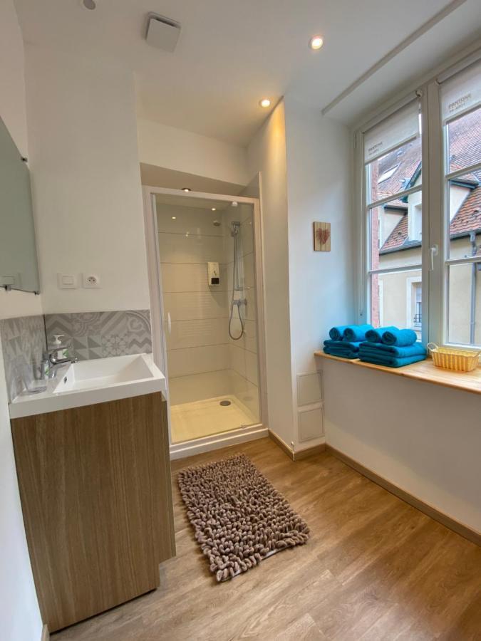 L'Ours De Colmar - Appartements En Centre Ville מראה חיצוני תמונה