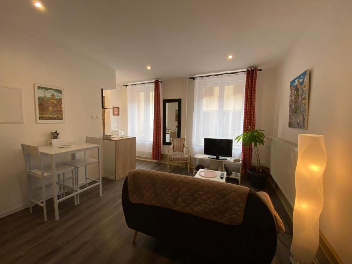 L'Ours De Colmar - Appartements En Centre Ville מראה חיצוני תמונה