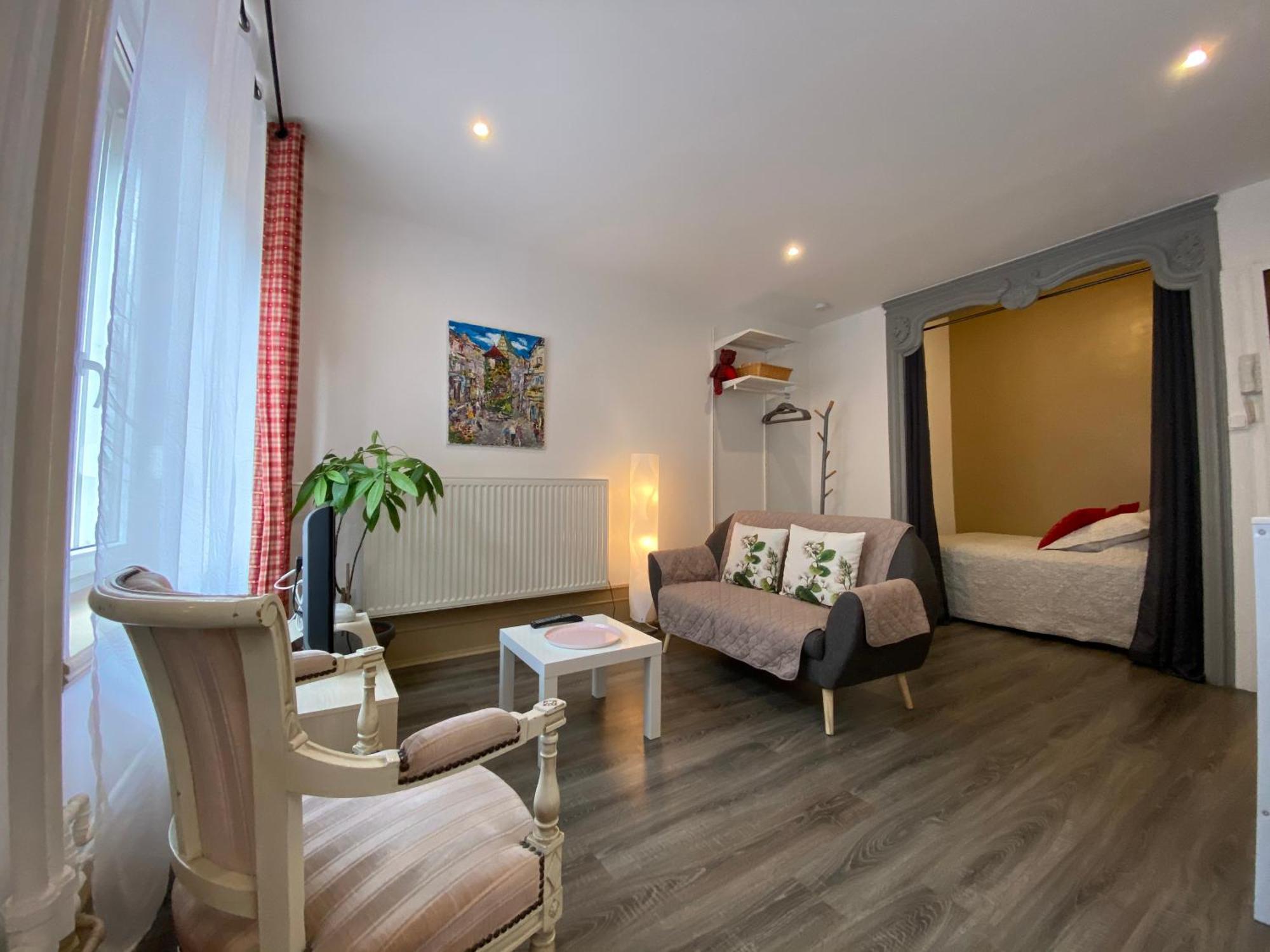L'Ours De Colmar - Appartements En Centre Ville מראה חיצוני תמונה