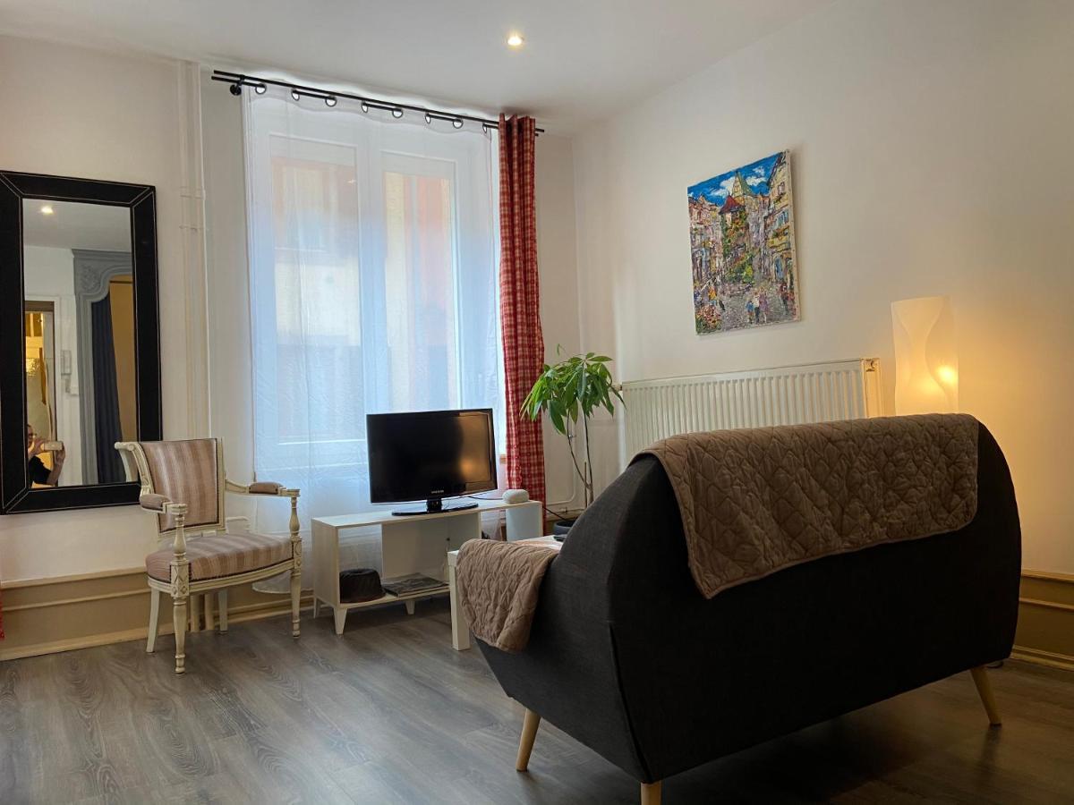 L'Ours De Colmar - Appartements En Centre Ville מראה חיצוני תמונה