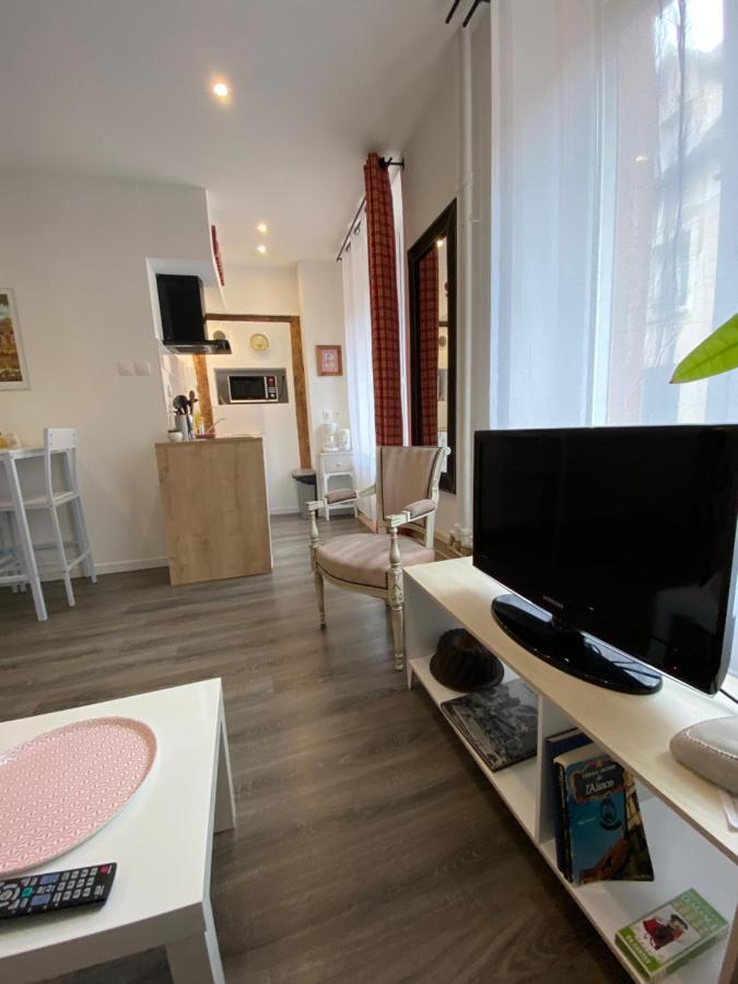 L'Ours De Colmar - Appartements En Centre Ville מראה חיצוני תמונה