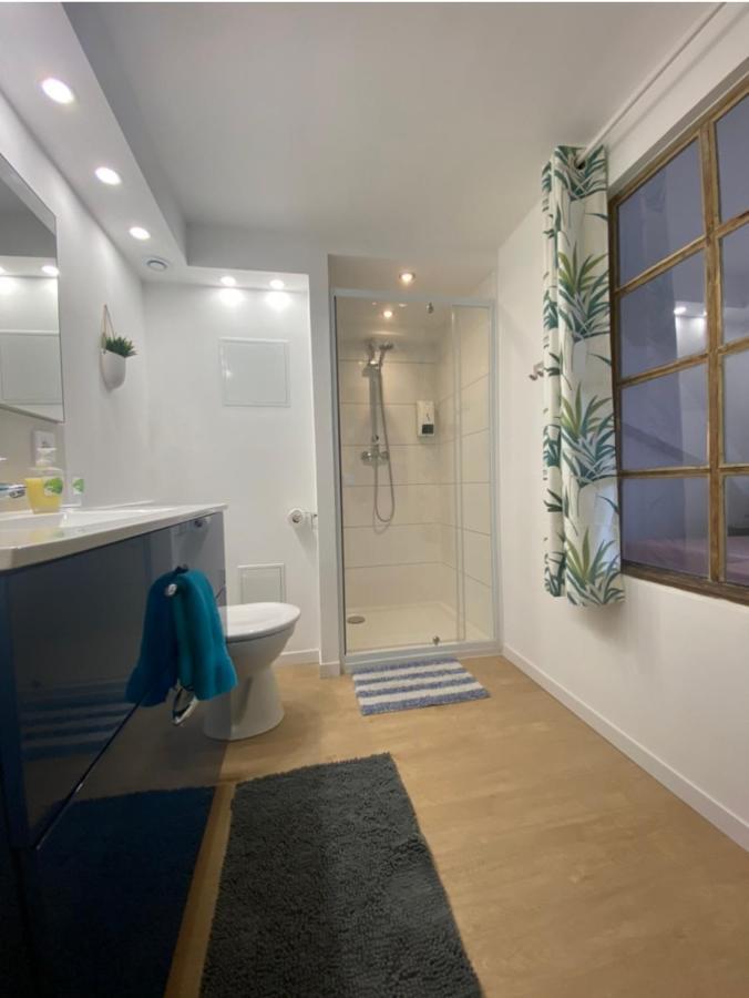 L'Ours De Colmar - Appartements En Centre Ville מראה חיצוני תמונה