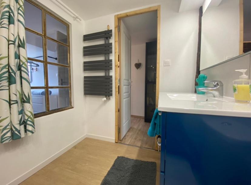 L'Ours De Colmar - Appartements En Centre Ville מראה חיצוני תמונה