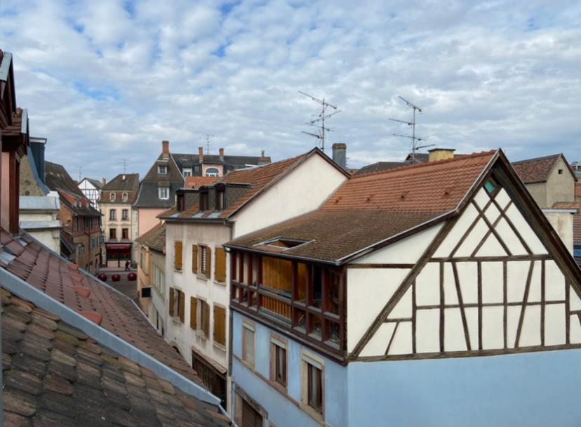 L'Ours De Colmar - Appartements En Centre Ville מראה חיצוני תמונה