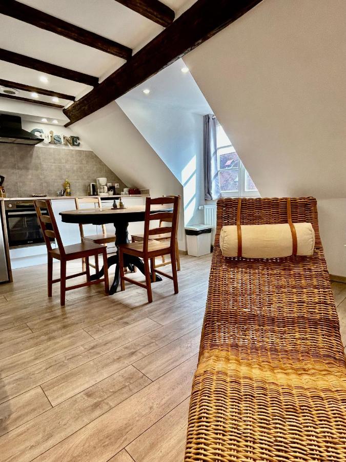 L'Ours De Colmar - Appartements En Centre Ville מראה חיצוני תמונה