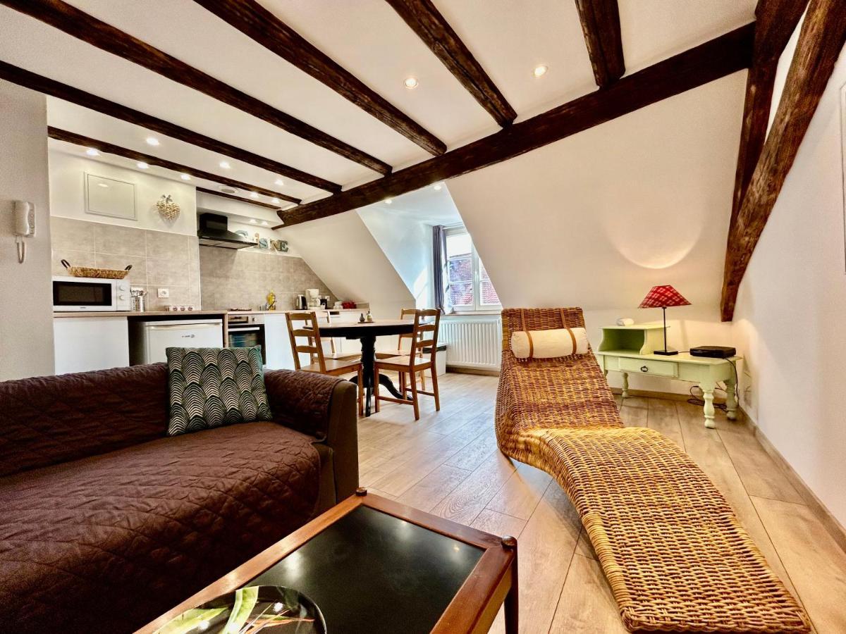 L'Ours De Colmar - Appartements En Centre Ville מראה חיצוני תמונה
