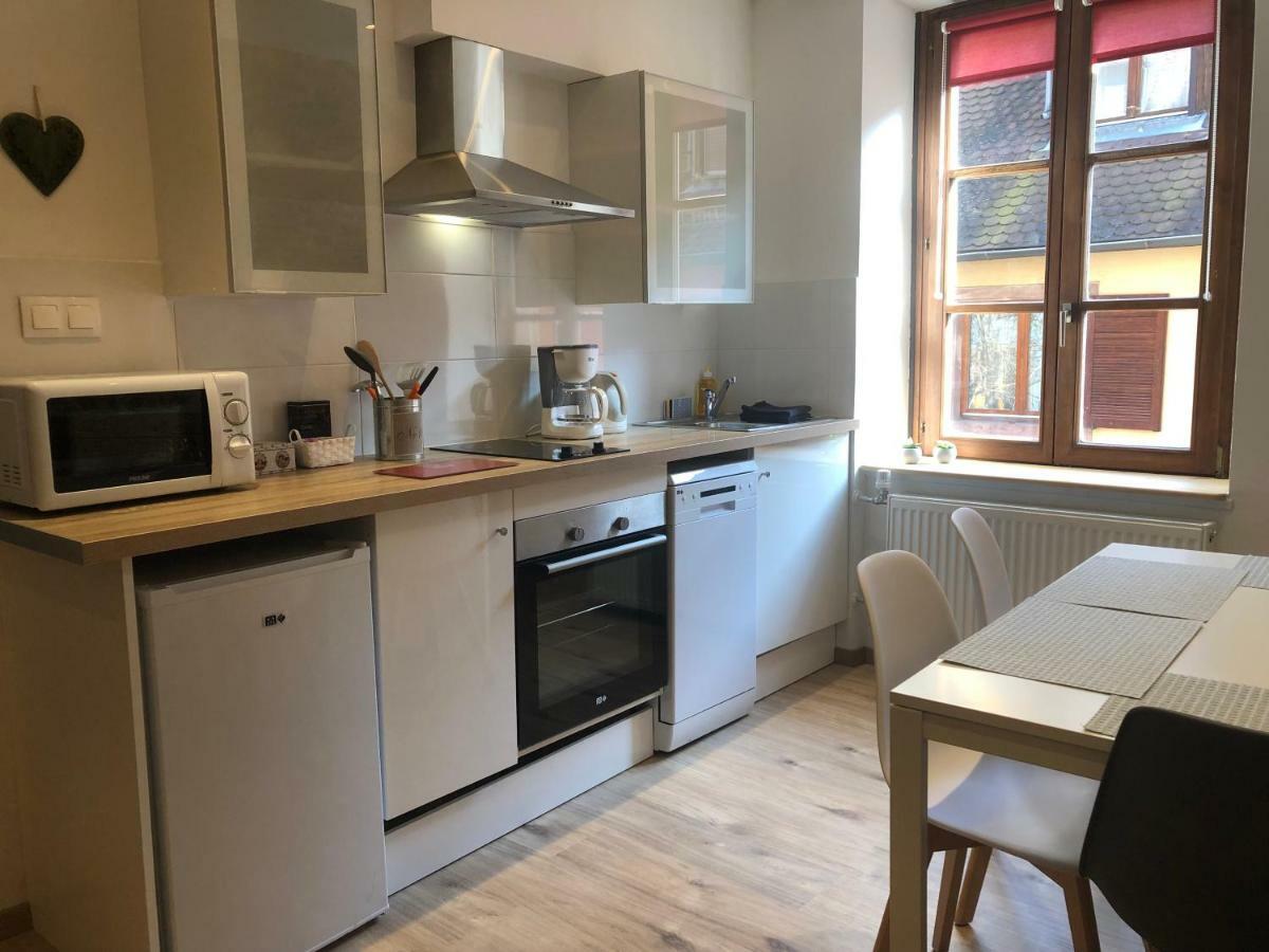 L'Ours De Colmar - Appartements En Centre Ville מראה חיצוני תמונה